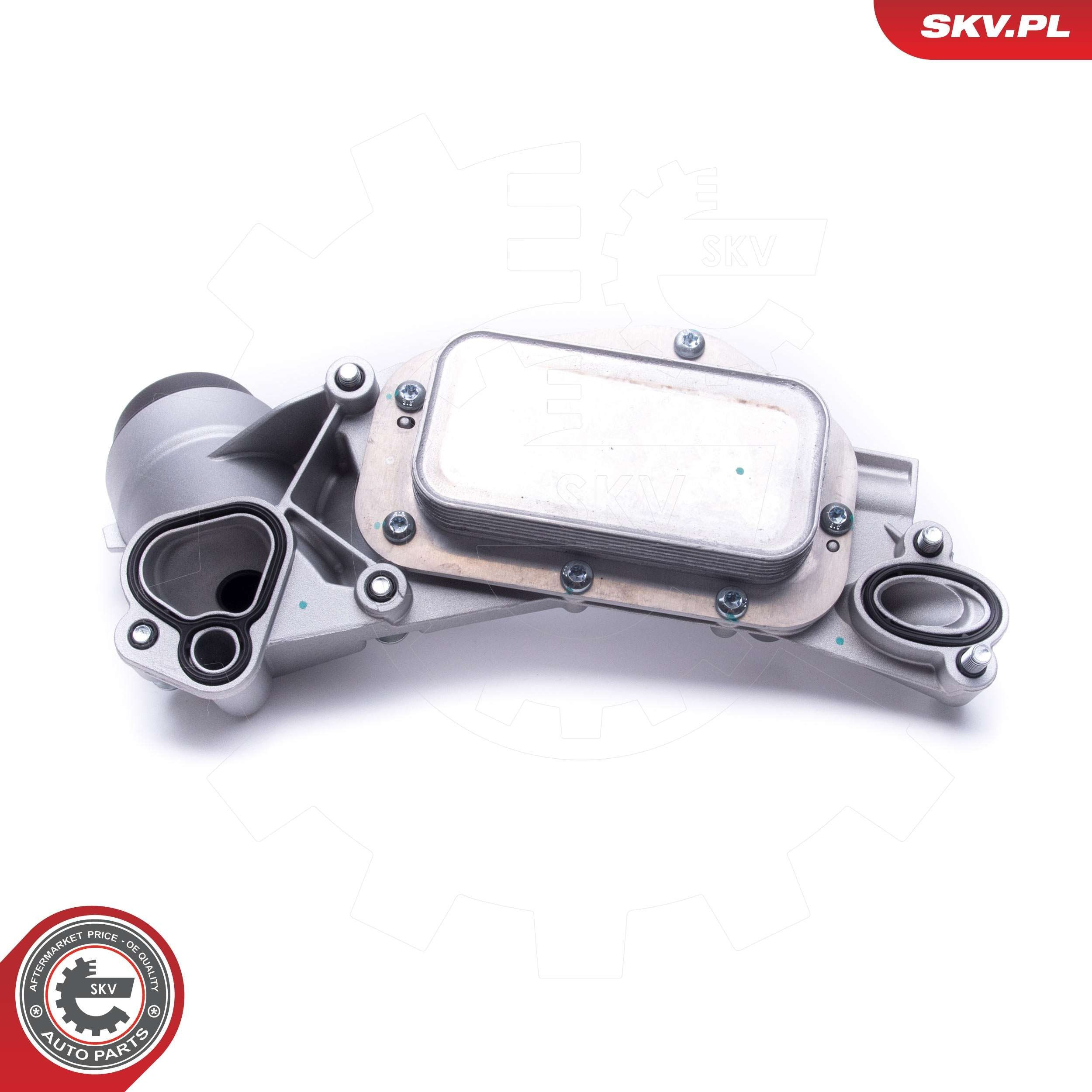 31SKV177 SKV